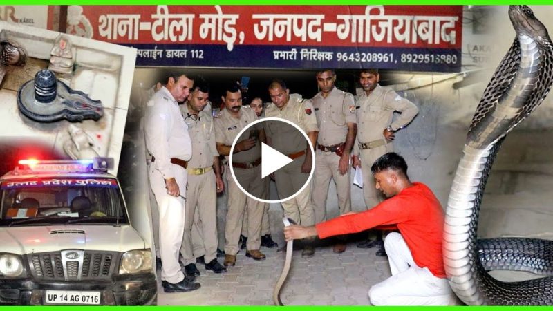 पुलिस स्टेशन के शिव मंदिर में दिखा वर्षो पुराना काला नाग मगर कांड होते होते रह गया