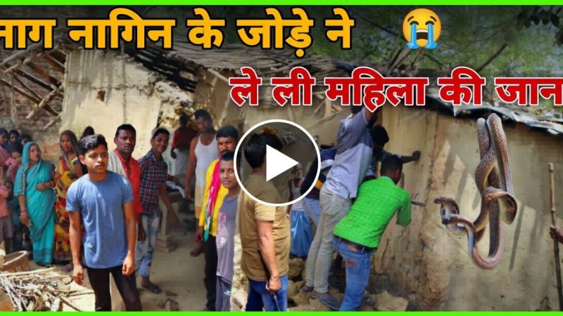 नाग नागिन के मिलन का मजा ले रही थी महिला पलक झपकते ही हो गया उल्टा…