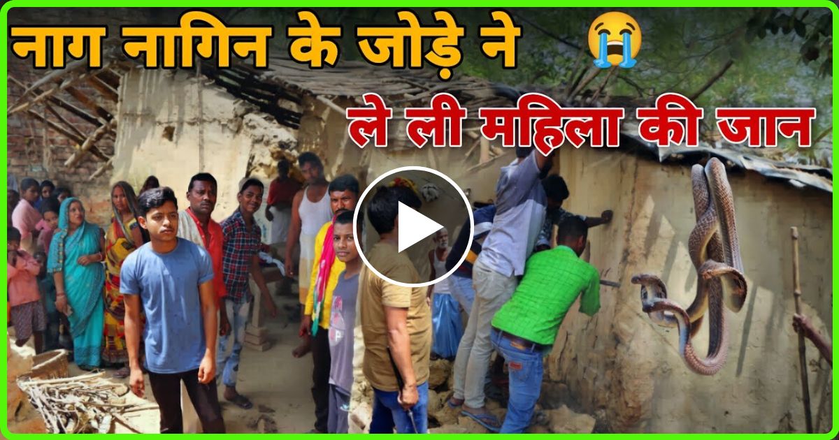 नाग नागिन के मिलन का मजा ले रही थी महिला पलक झपकते ही हो गया उल्टा…