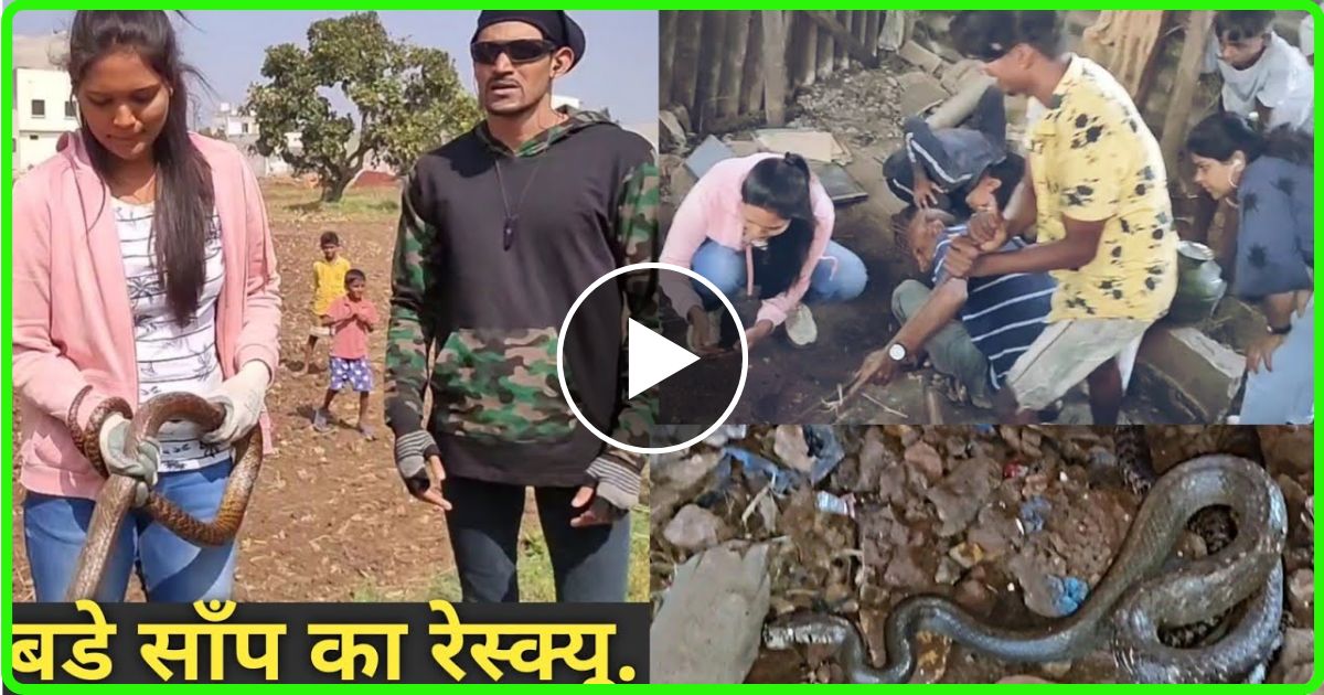 लड़की ने सांप पकड़ते समय लगाया ऐसा जुगाड़ देख सांप भी चकराया… लोग बोले कमाल कर दी